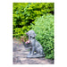 Rembrandt Dog & Basket Planter SE2292-Folders
