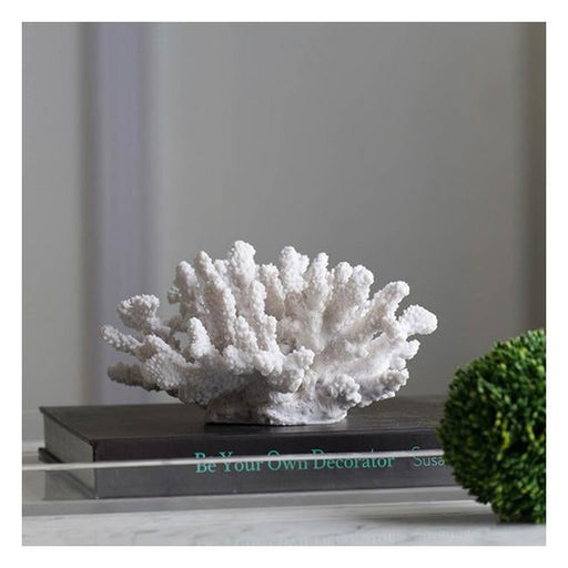 Rembrandt Elkhorn Coral Sculpture SE2113-Folders