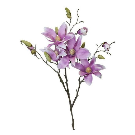 Rembrandt Magnolia / Purple PG1018-Folders