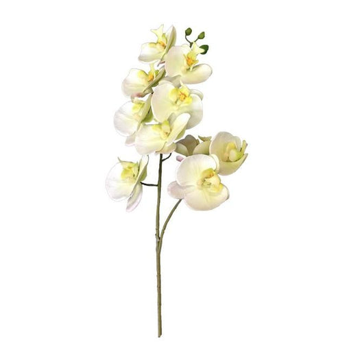Rembrandt Real Touch Orchid 1 Spray Stem - Light Green YI1012-Folders
