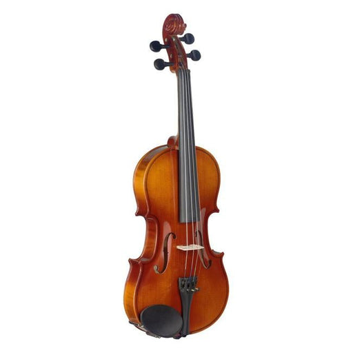 Stagg 3/4 Violin with softcase-Folders